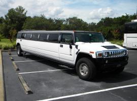 Enjoy amazing sightseeing in Cologne in Hummerlimo